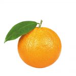 پرتقال سرو ایران