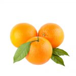 پرتقال سرو ایران