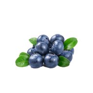 بلوبری سرو ایران