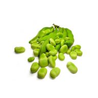 باقلا سرو ایران