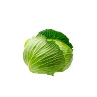 کلم پیچ سفید سرو ایران