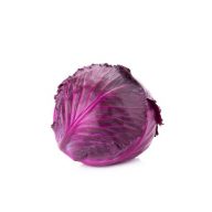 کلم پیچ قرمز سرو ایران