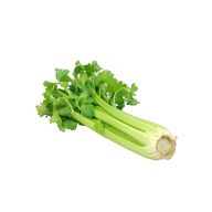 کرفس سرو ایران