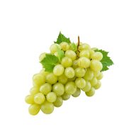 انگور عسگری سرو ایران