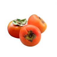 خرمالو سرو ایران