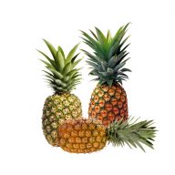 آناناس سرو ایران