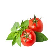 گوجه فرنگی سرو ایران