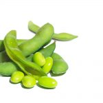 لوبیا سبز سرو ایران