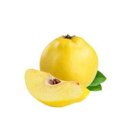 به سرو ایران