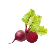 چغندر لبو سرو ایران