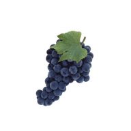 انگور یاقوتی سرو ایران