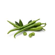 فلفل سبز سرو ایران