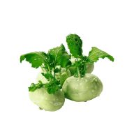 کلم قمری سرو ایران