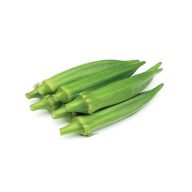 بامیه سرو ایران