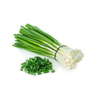 پیازچه سرو ایران