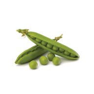 نخود فرنگی سرو ایران