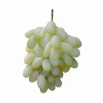 انگور ریش بابا سروایران