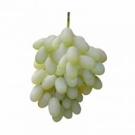 انگور ریش بابا سروایران