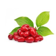 زغال اخته سرو ایران