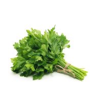 جعفری سرو ایران