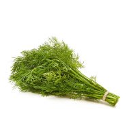 شوید سرو ایران