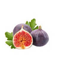 انجیر سرو ایران