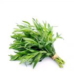 ترخون سرو ایران