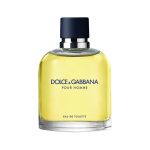 ادکلن مردانه پور هوم دولچه گابانا Dolce Gabbana سرو ایران